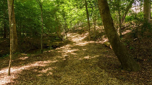 Walking Trail